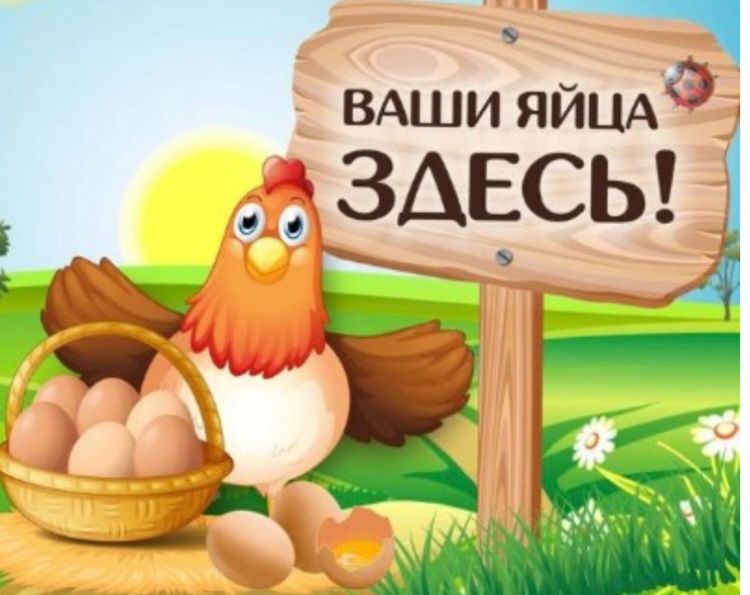 О 1.1 ИП Памятихина Е.